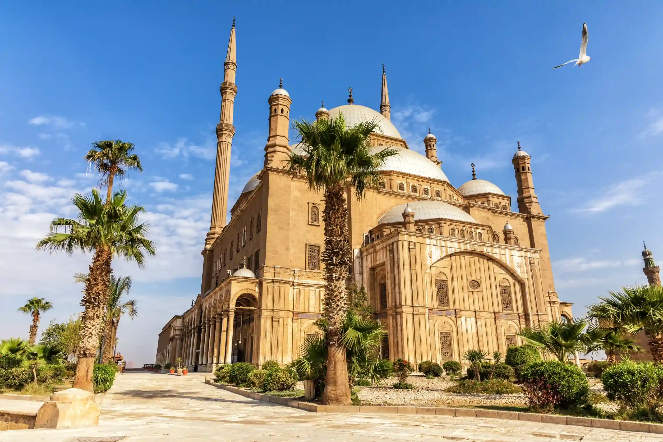 ali pasha or alabaster mosque in the citadel of cairo in egypt