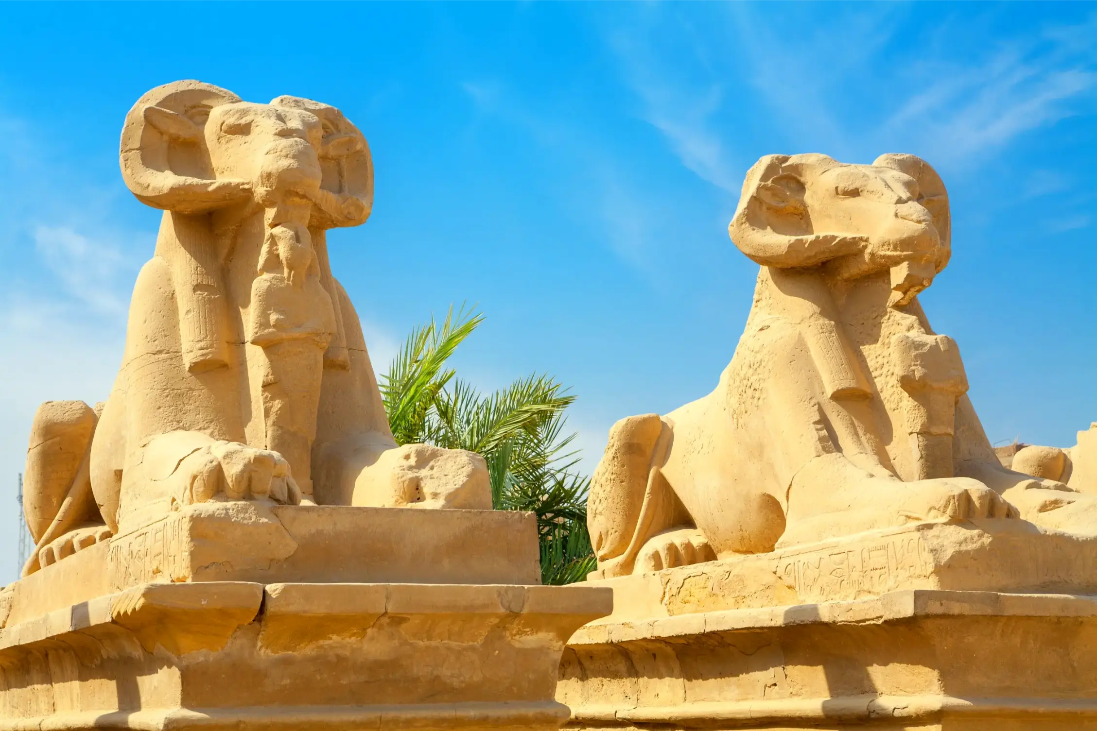 avenue of the ram headed sphinxes karnak temple in egypt