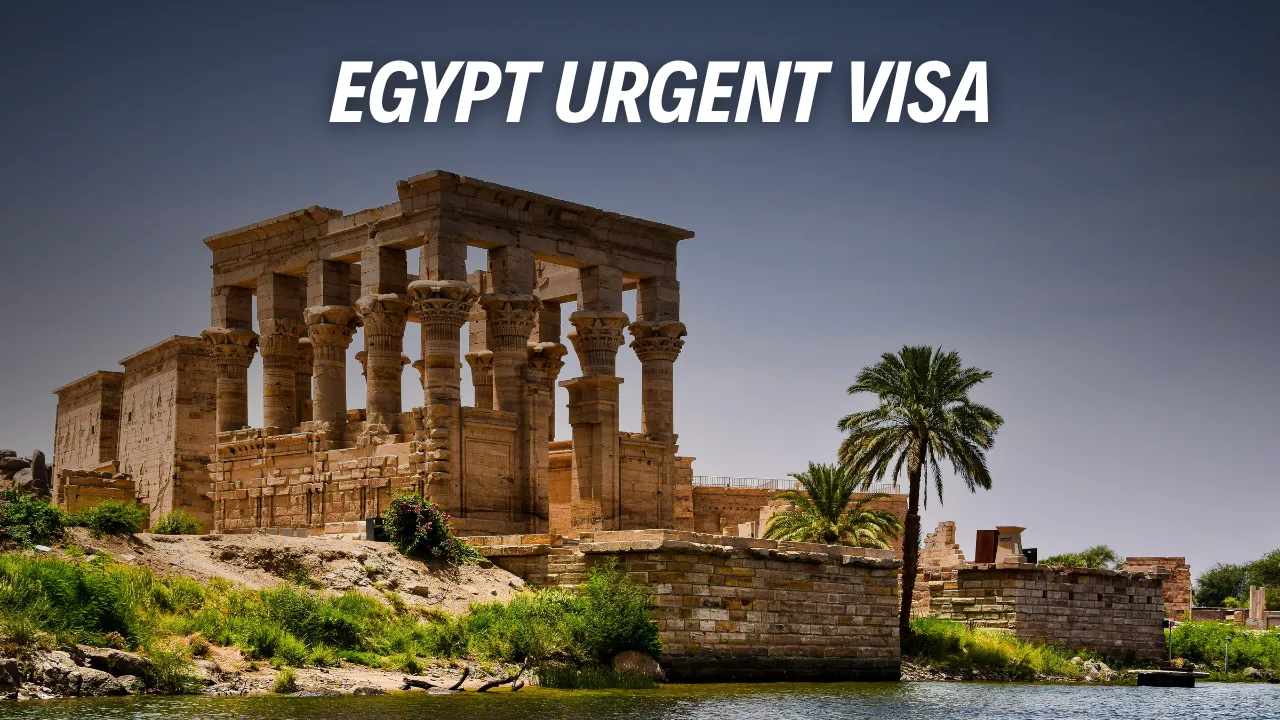 Egypt Urgent Visa
